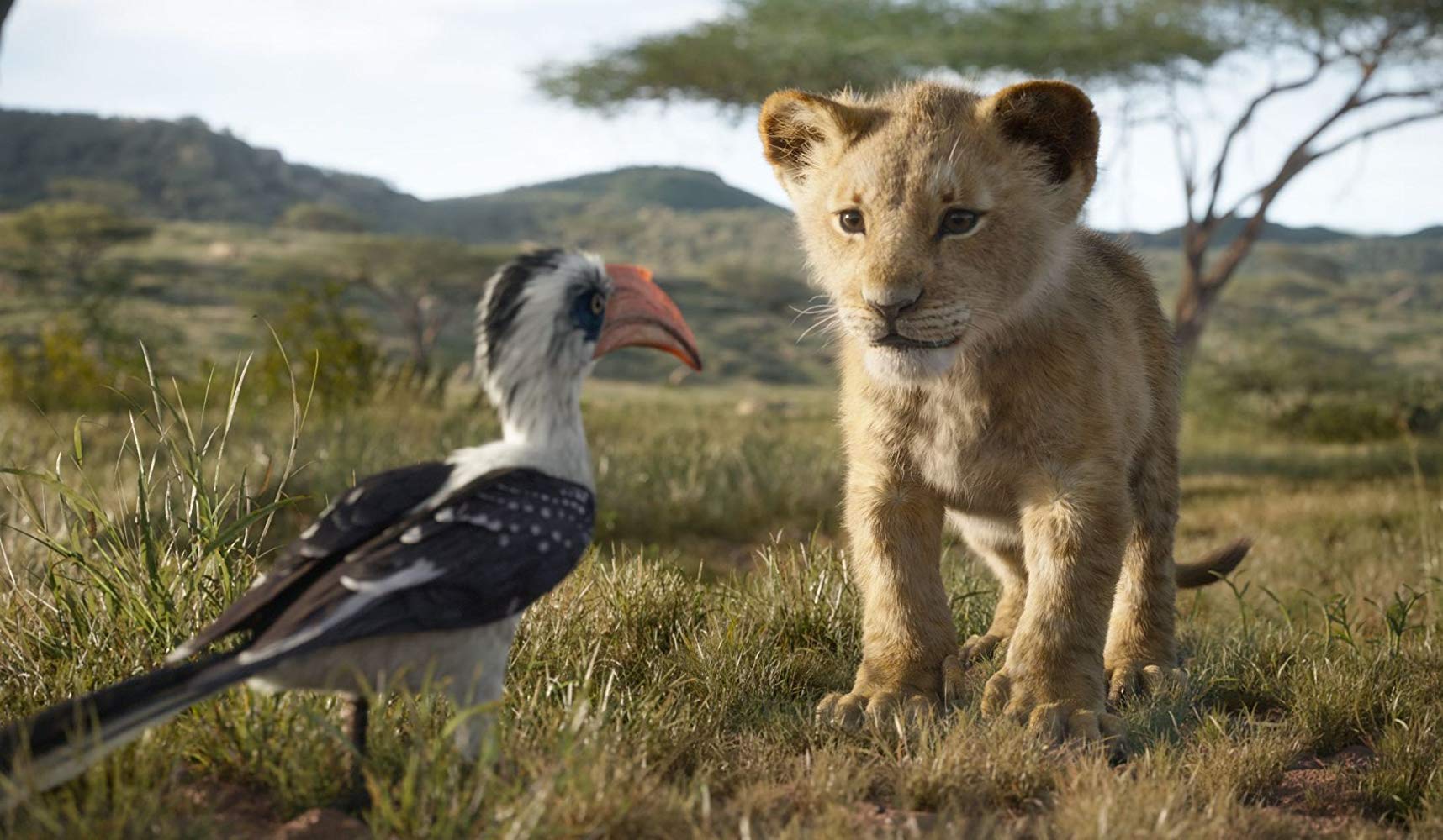 Reseña de la película El Rey León - The Lion King (2019)