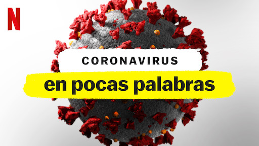 Coronavirus en pocas palabras