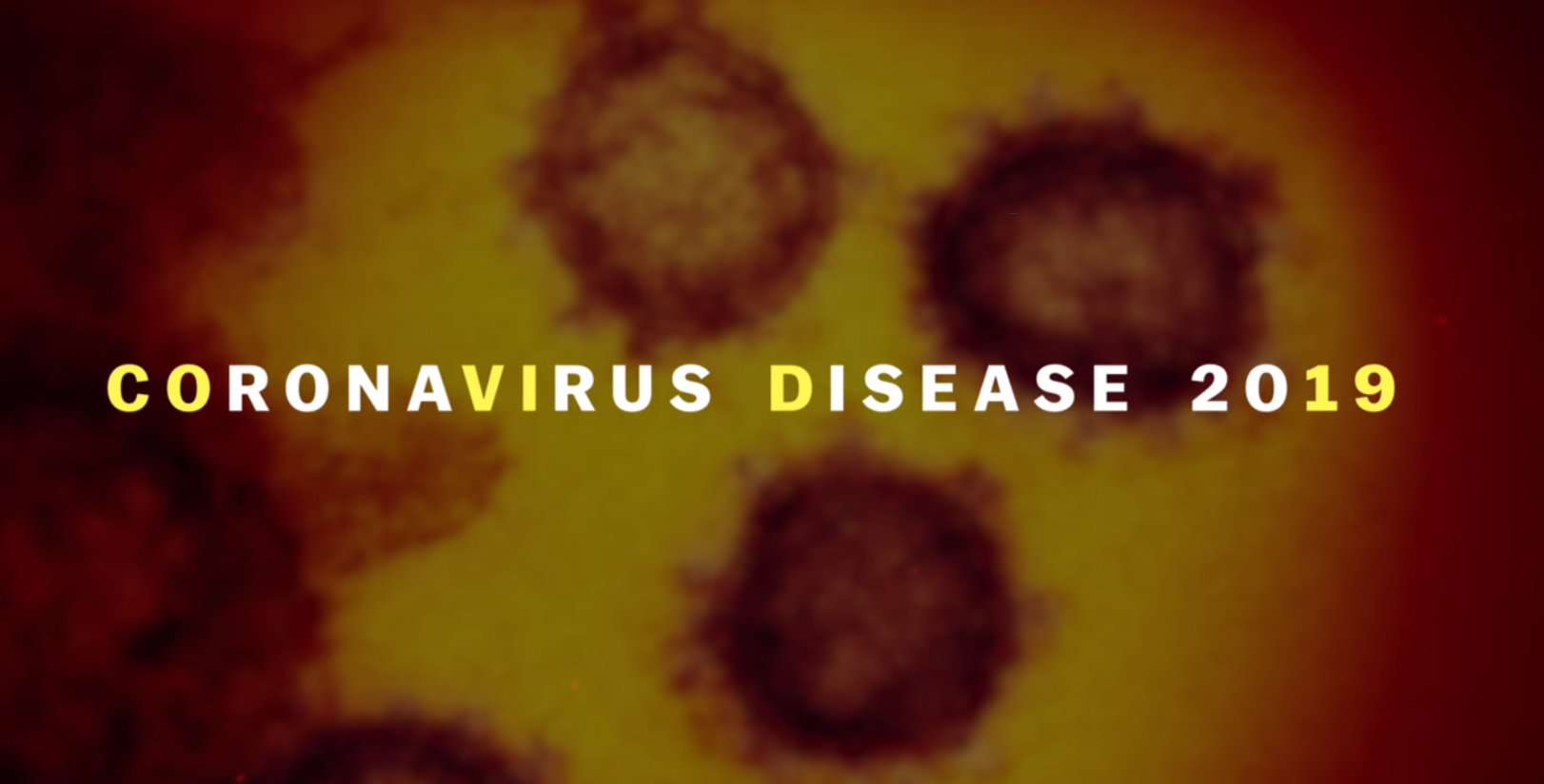Coronavirus en pocas palabras